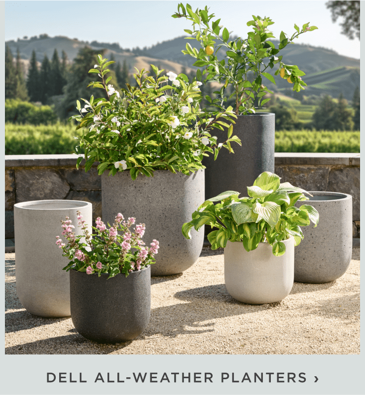Dell All-Weather Planters