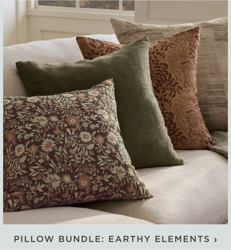 Earthy Elements Pillows