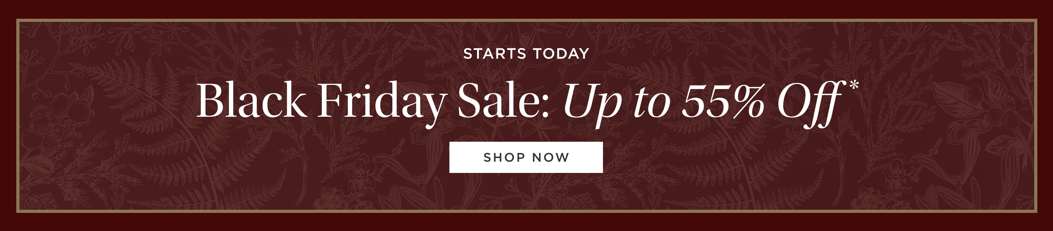 Black Friday Sale: Up to 55% off