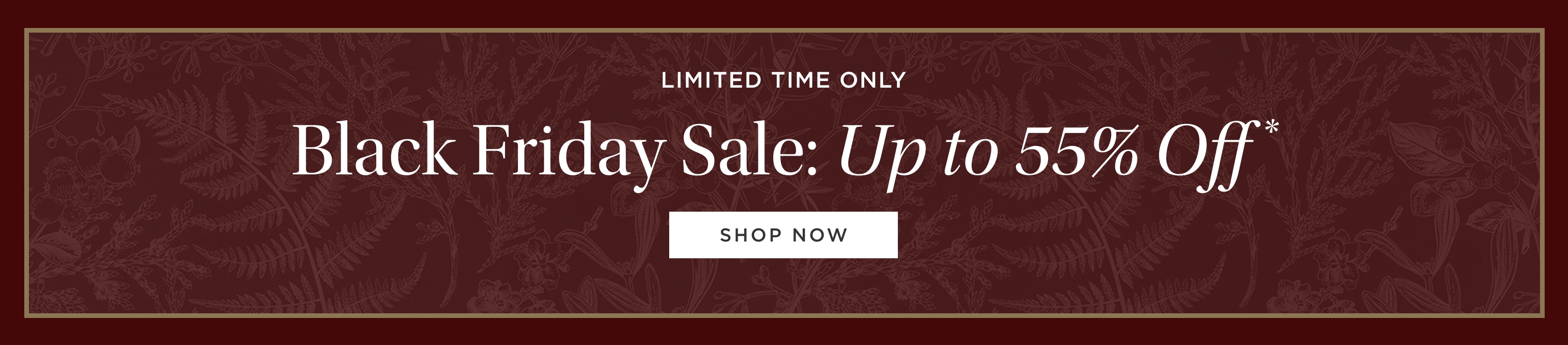 Black Friday Sale: Up to 55% off