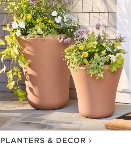 Planters & Decor
