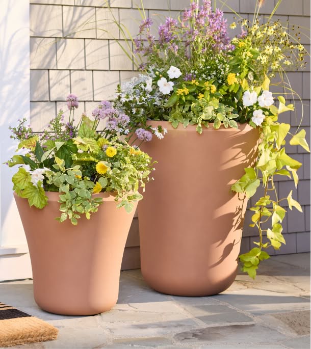Outdoor Outdoor