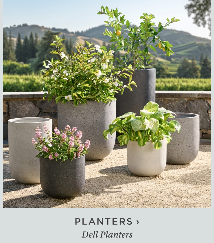 bestselling planters