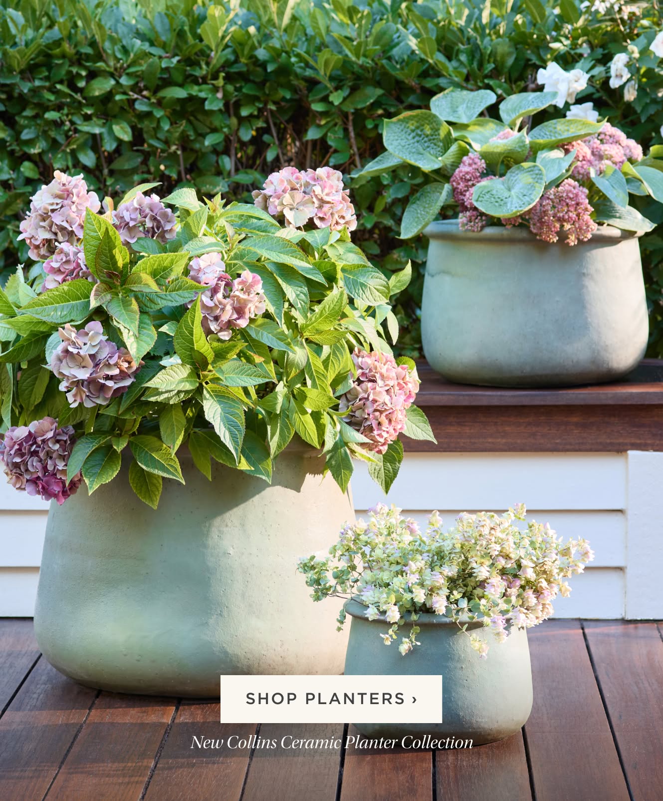Shop Planters. Handcrafted by skilled artisans. Shop Planters. Handcrafted by skilled artisans.