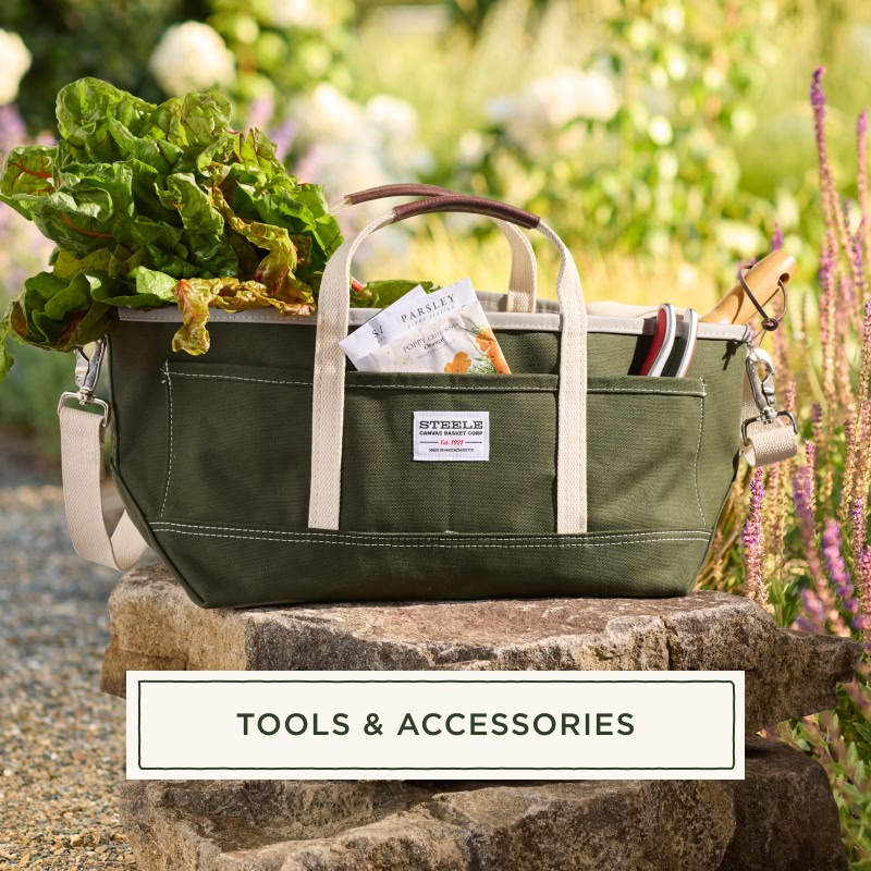 Tools & Accessories