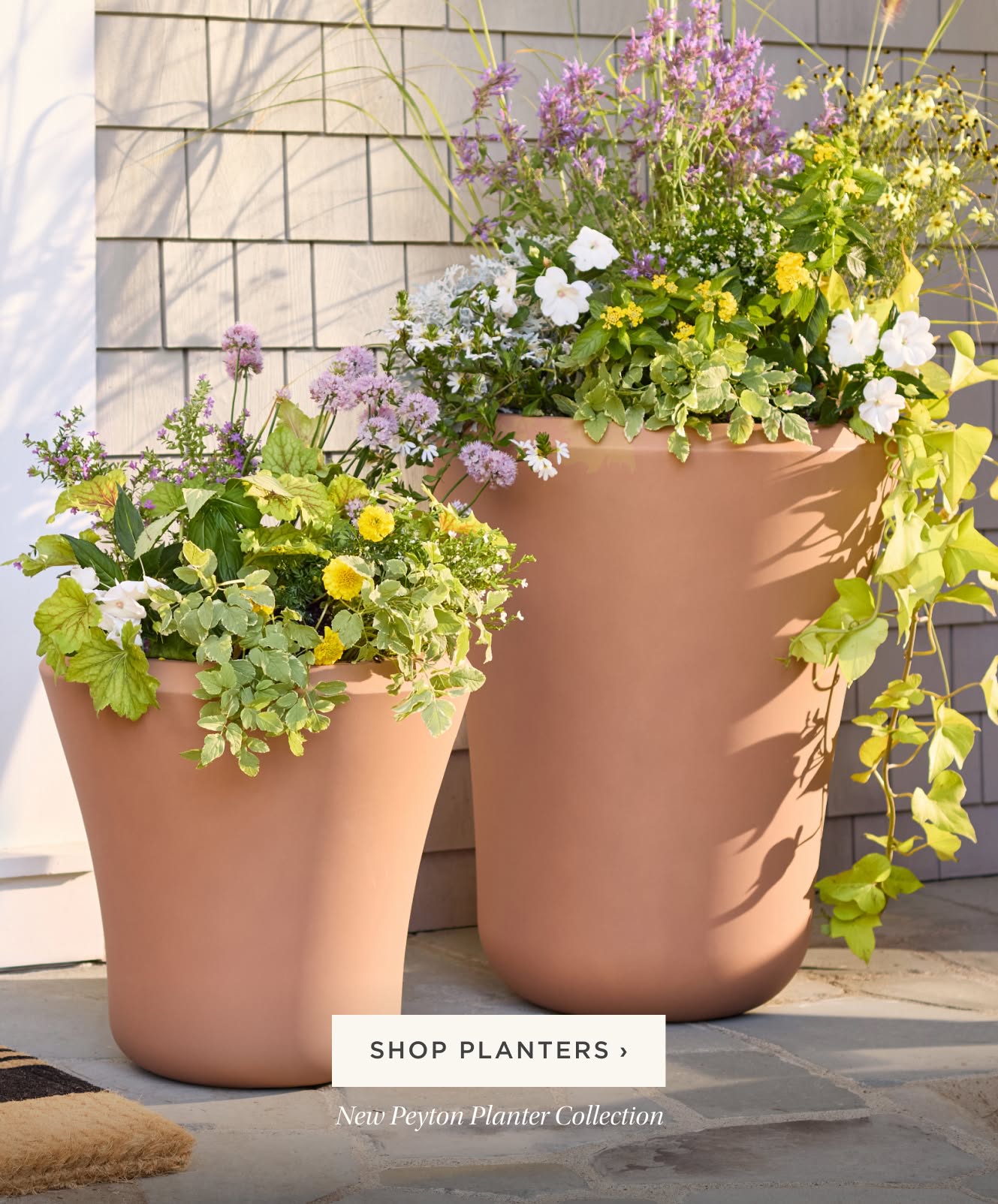 Shop Planters. New Peyton Planter Collection.