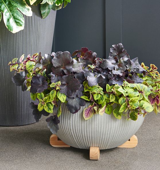 Teak Planter Feet Rejuvenation