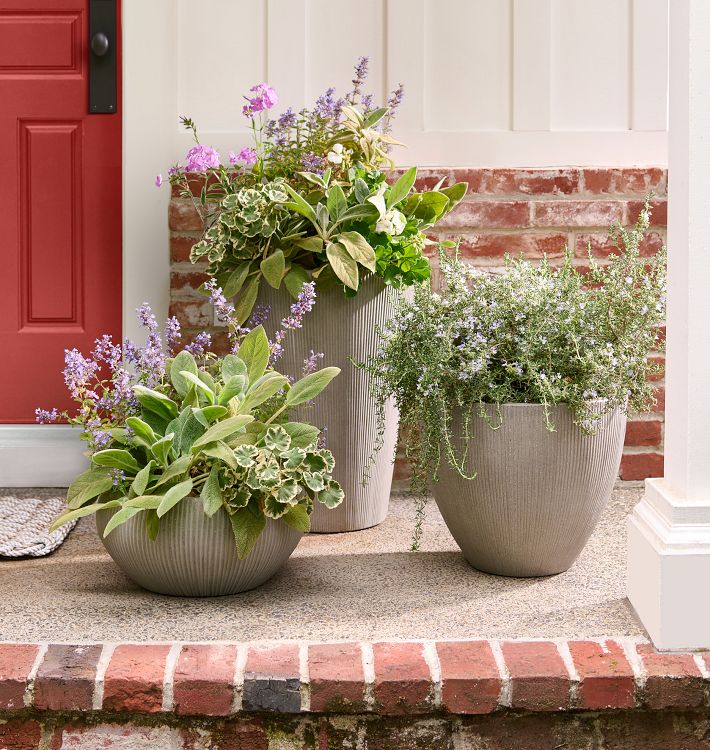 Modern Bowl Garden Planter