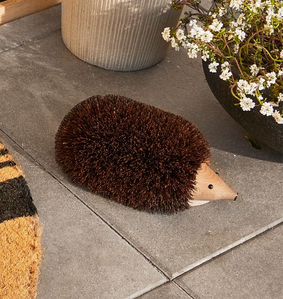 Hedgehog Boot Scraper | Rejuvenation