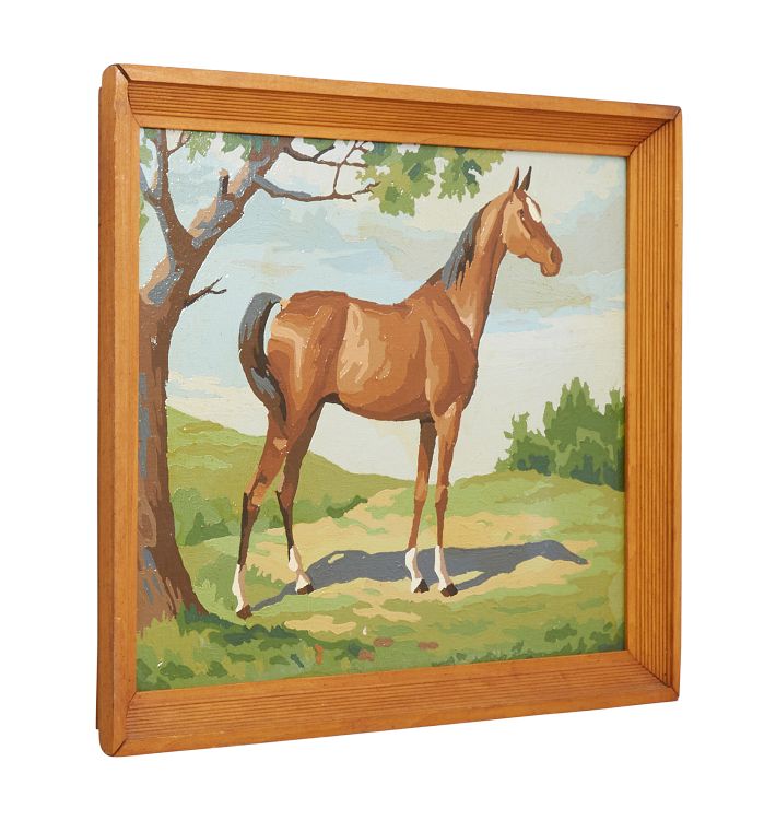 Equestrian Paint by Numbers Rejuvenation