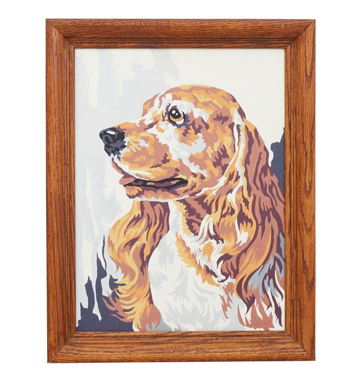 Paint by Numbers Portrait of Dogs | Rejuvenation