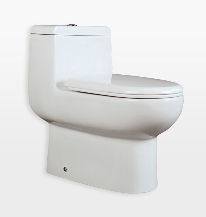 Aquatre Floor Standing Toilet with dual flush