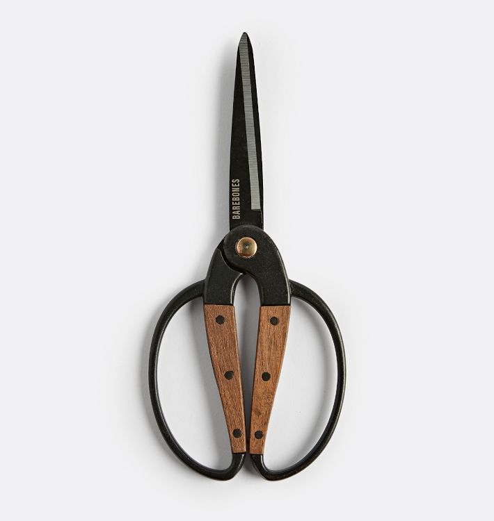 Large Scissors with Walnut Handles