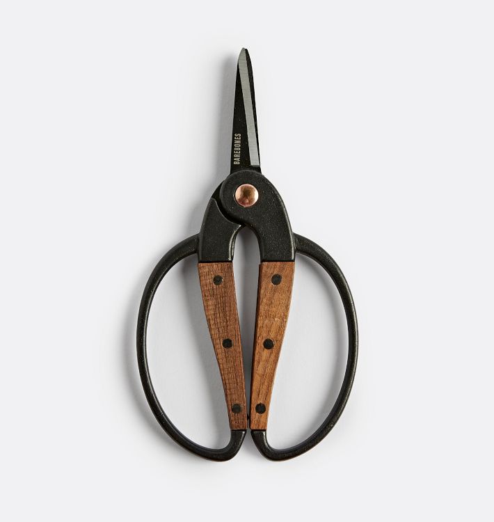 Small Scissors with Walnut Handles