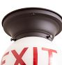 Flush Mount EXIT Globe