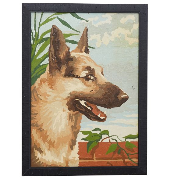 Paint by Numbers German Shephard Portrait Rejuvenation