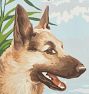 Vintage Paint-by-Numbers German Shephard