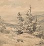 Mountain Landscape with Pines in the Foreground Framed Reproduction Wall Art Print