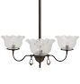Antique Victorian 3-Light Converted Gas Chandelier with Etched Floral Shades