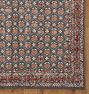 Greyson Indoor/Outdoor Hand-Knotted Rug