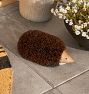 Hedgehog Boot Scraper