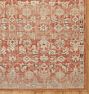 Folley Hand-Knotted Rug