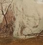 Antique Japanese Waterfall Albumen Photo Print