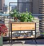 Cedar Raised Garden Bed With Trellis