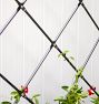 Free Standing Lattice Iron Trellis