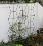 Zig-Zag Screen Iron Trellis