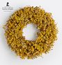 Goldenrod Dried Wreath, 20"