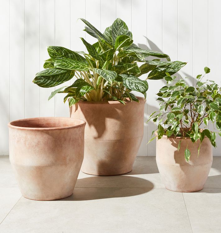 Antique Terracotta Planters