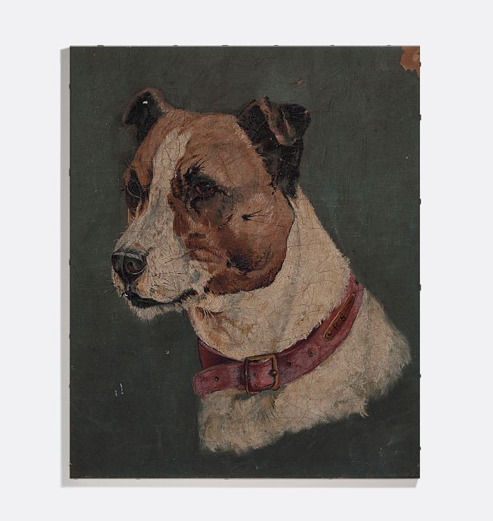 Buster Framed Reproduction Wall Art Print 16"x20" by Unknown Artist