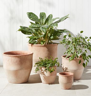 Terracotta planters discount