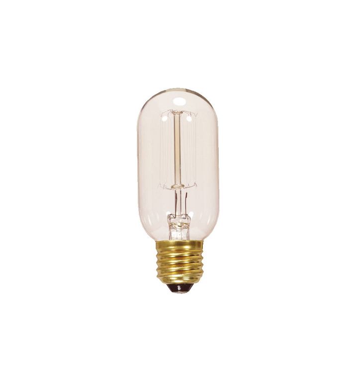 40W Vintage Cage-Style Filament Bulb