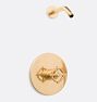 Tolson Pressure Balanced Shower Set, Aged Brass