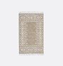 OPEN BOX: Connoll Indoor/Outdoor Flatweave Rug, 3" x 5" - Fossil