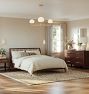 Amelia Chandelier