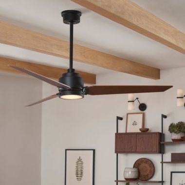 Ceiling Fans