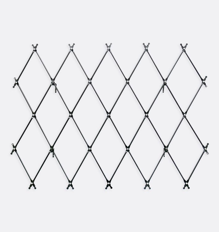 Wall-Mounted Lattice Iron Trellis
