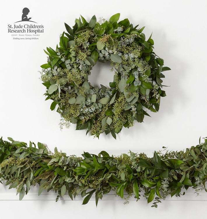 Live Ruscus, Seeded Eucalyptus &amp; Baby Blue Eucalyptus Garland and Wreath