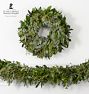 Live Ruscus, Seeded Eucalyptus &amp; Baby Blue Eucalyptus Garland and Wreath