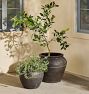 Tara Ficonstone Planter