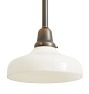 Rose City Pendant with Intricate Vintage Shade