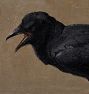 The Caw Framed Reproduction Wall Art Print