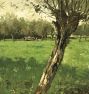 The Willow Framed Reproduction Wall Art Print