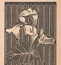 Cala Lilies by Samuel Jessurun De Mesquita Framed Reproduction Wall Art Print