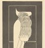 Crowned Cockatoo by Samuel Jessurun De Mesquita Framed Reproduction Wall Art Print