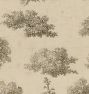 Foliage Studies Framed Reproduction Wall Art Print