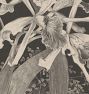 Orchids by Theo Van Hoytema Framed Reproduction Wall Art Print